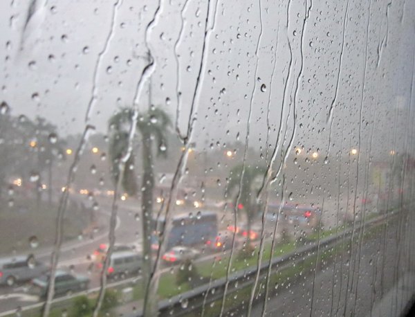 Ливень вид из окна