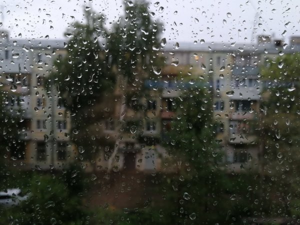 Ливень за окном