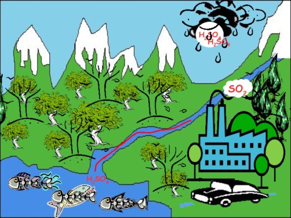 Кислотные дожди плакат