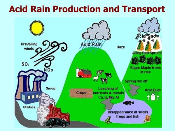 Способы борьбы с кислотными дождями