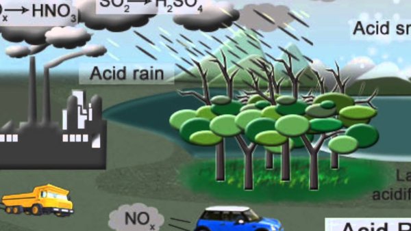 Методы борьбы с кислотными осадками