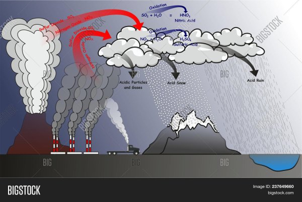 Acid Rain диаграммы