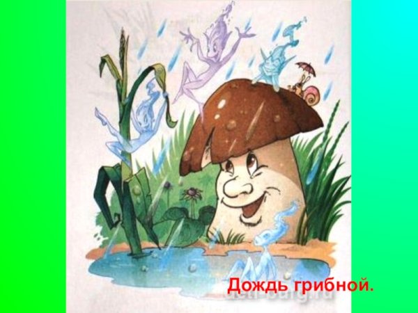 Грибной дождик