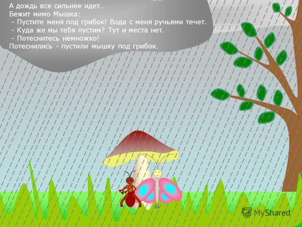 Грибок под дождиком картинка