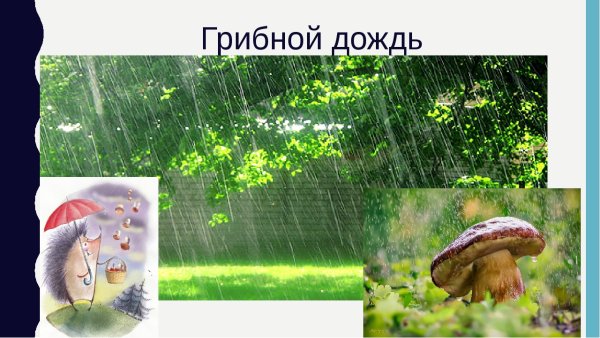 Грибной дождь проект