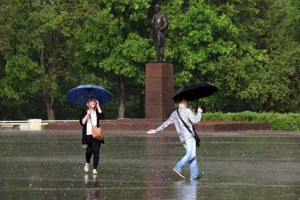 Грибной дождь 1982