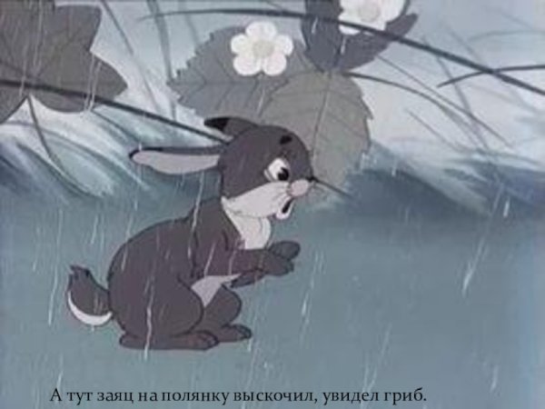 Мультик под грибом