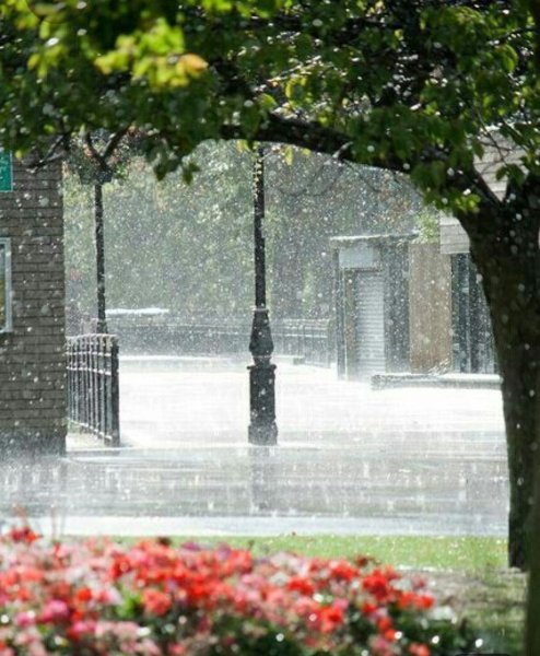 Дождливый летний день