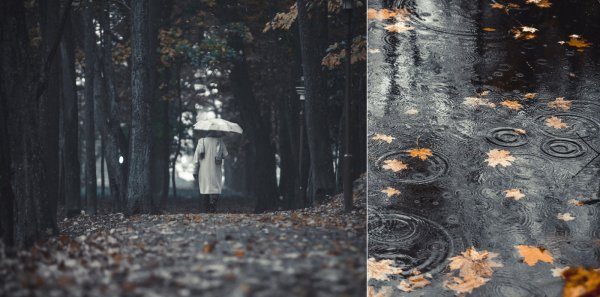Осень дождь серость