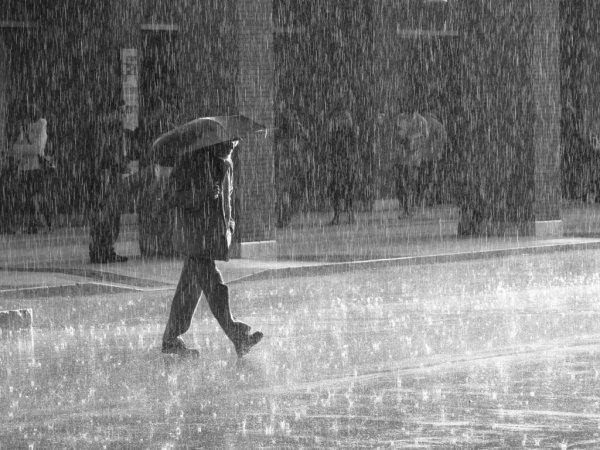 Дождь осенний Бродяга