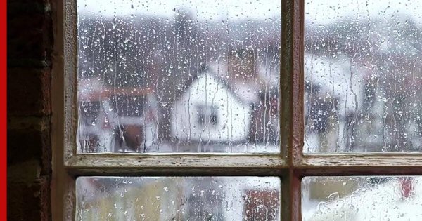 Мокрый снег за окном