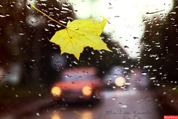 Автомобиль осень дождь