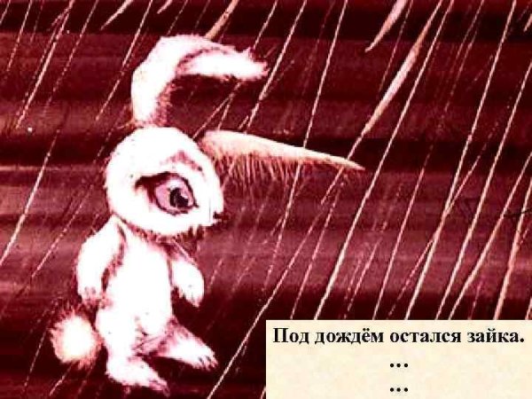 Зайка под дождем