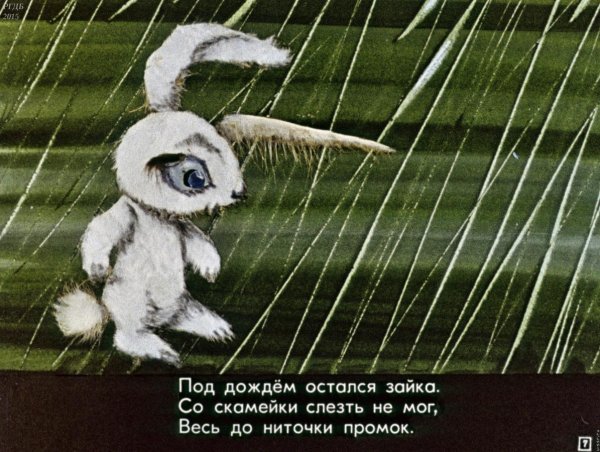 Зайчик весь до ниточки промок