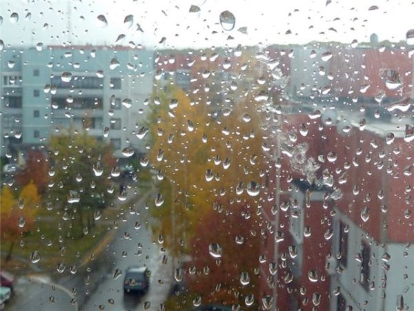 Дождь в окно стучится