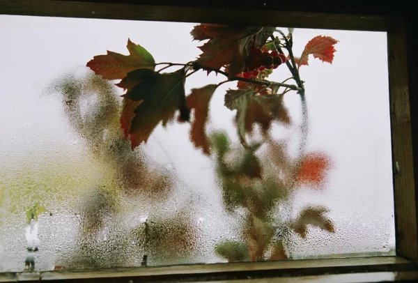 Осень стучится в окно