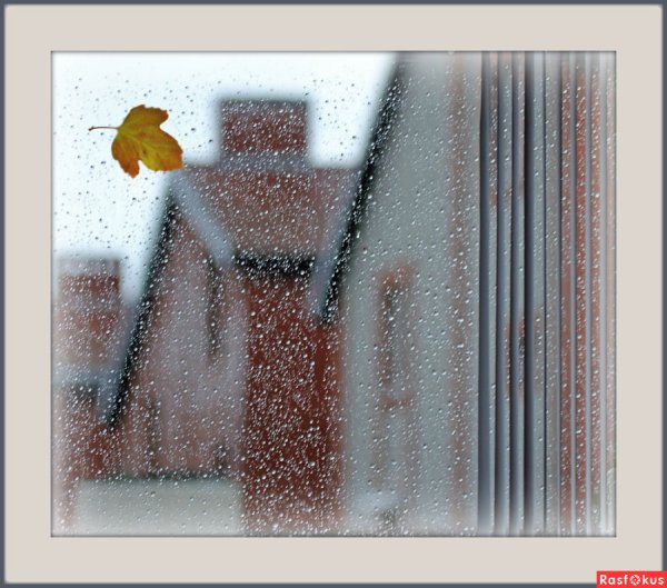 Дождь в окно стучится