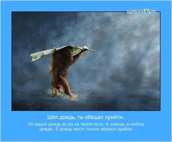 Мотиватор в дожди
