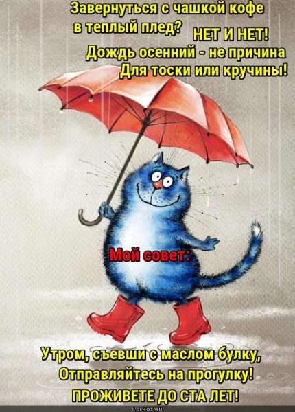 Доброе дождливое утро пятницы