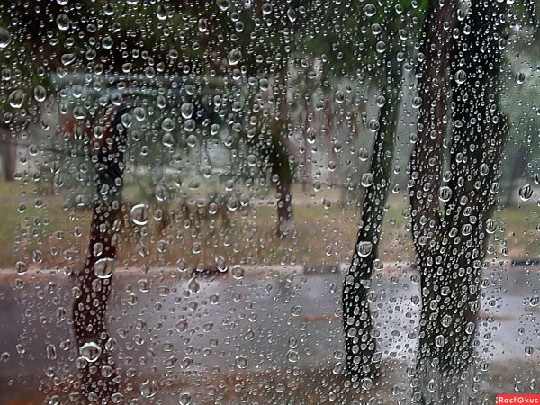 Дождь за окном фото
