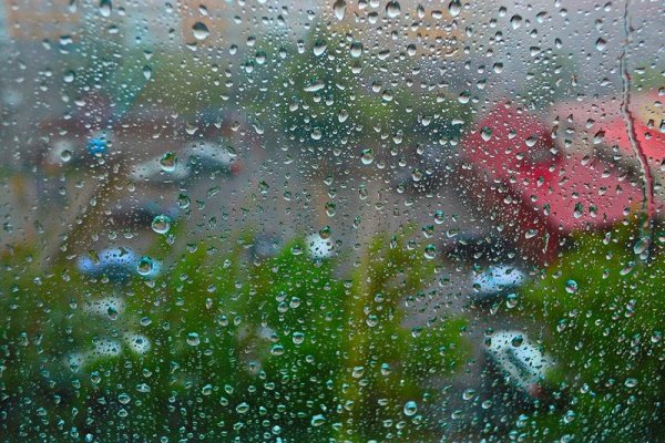 Весенний дождь за окном