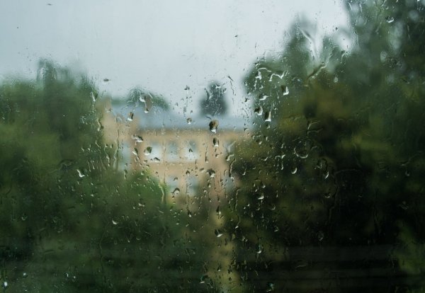 Дождик летний на окне