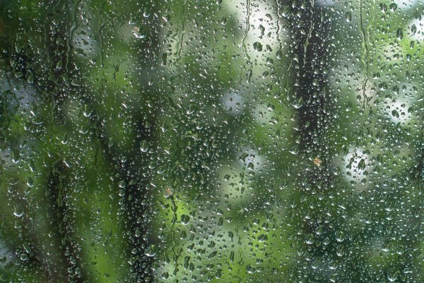 Лето окно дождь