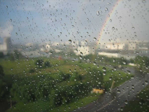 Дождливый вид за окном