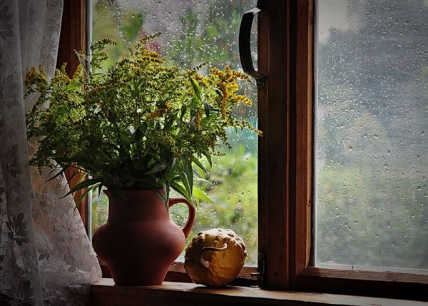 Деревенское окно осенью