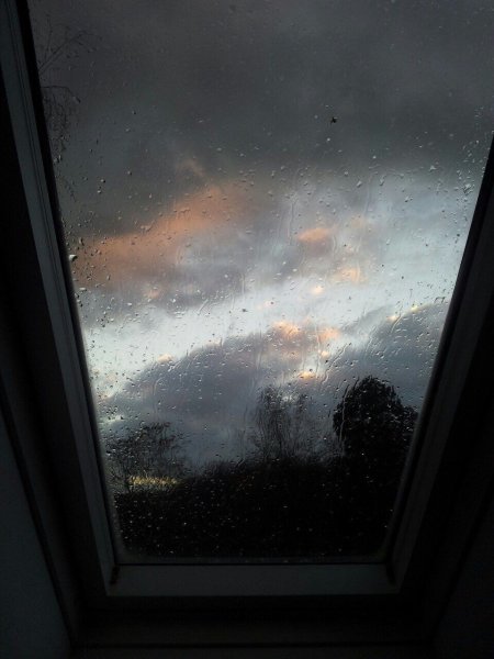 Дождливый вид из окна