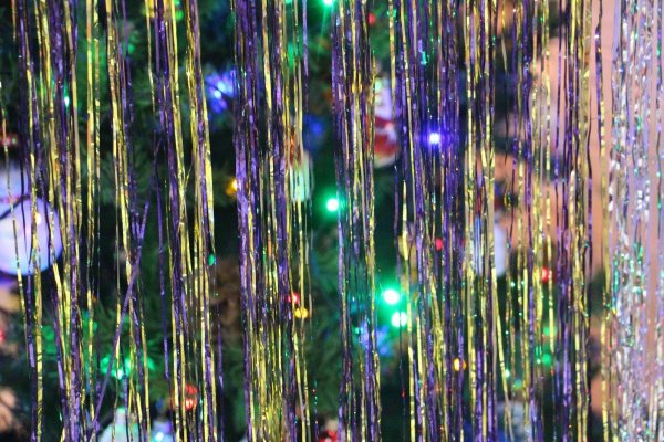 Дождик на елку