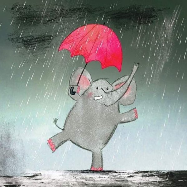 Слон дождь
