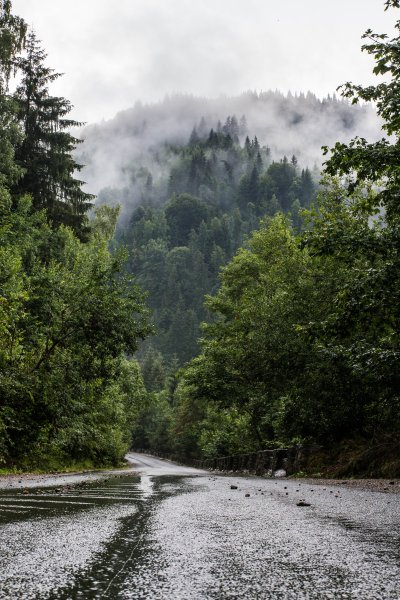 Штат Вашингтон Форкс лето