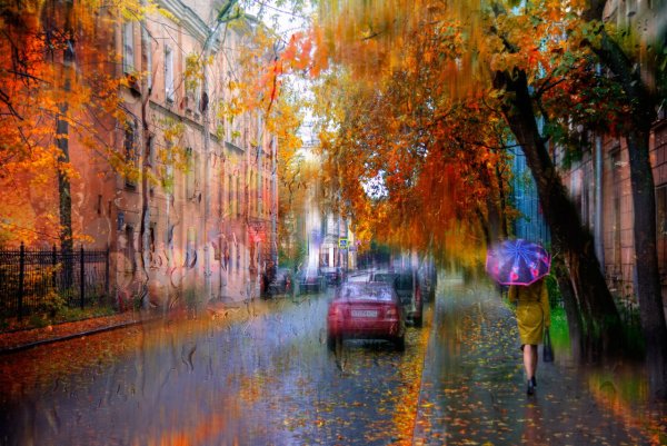 Эдуард Гордеев дождливый Петербург