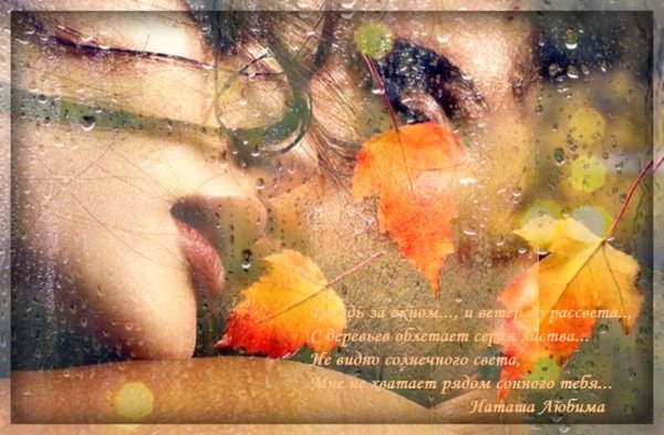 Дождик за окном стих