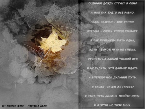 Дождь за окном стихи