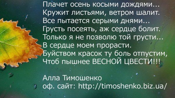 Стихи про осенний дождь