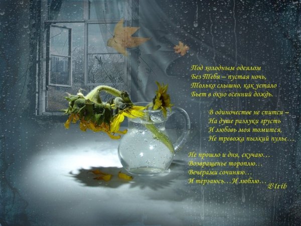 Стих дождливый вечер