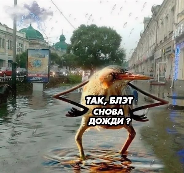 Дождливый город Омск