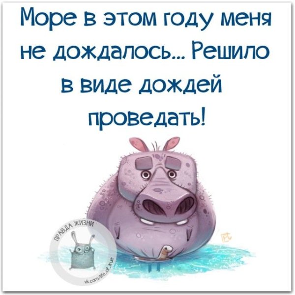 Смешные высказывания про дождь