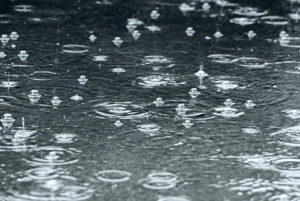 Пузыри на лужах