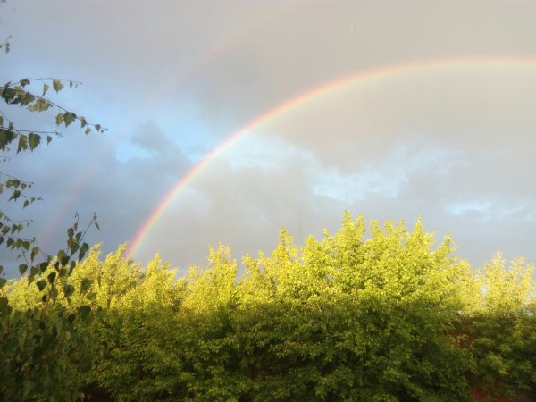 Грибной дождь и Радуга