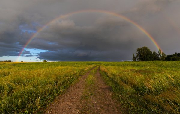 Лето дождь Радуга