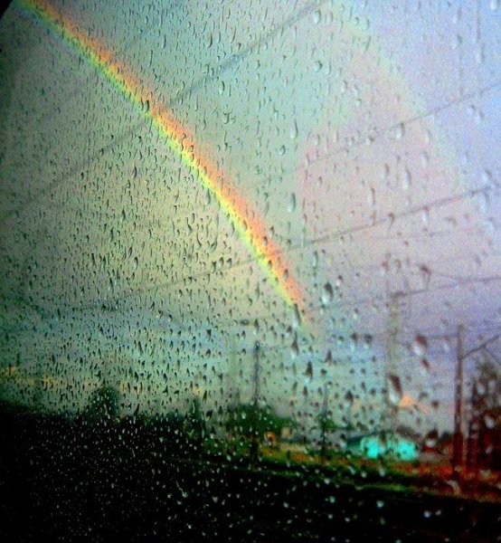 Дождь для радуги