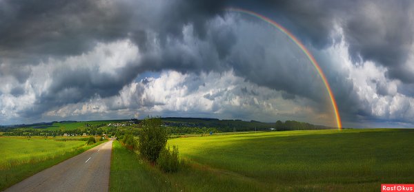 Поле дорога Радуга