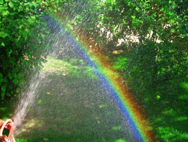 Дождь для радуги