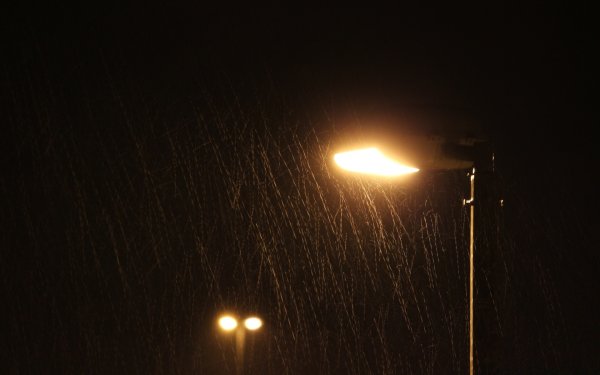 Ночной ливень