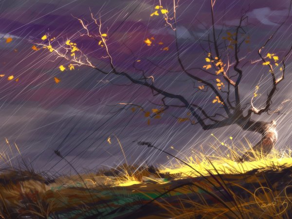 Пейзаж с ветром