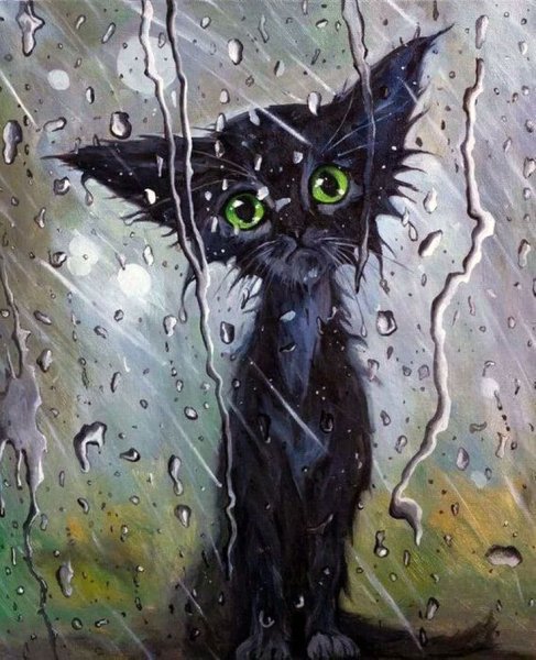 Мокрый котенок под дождем