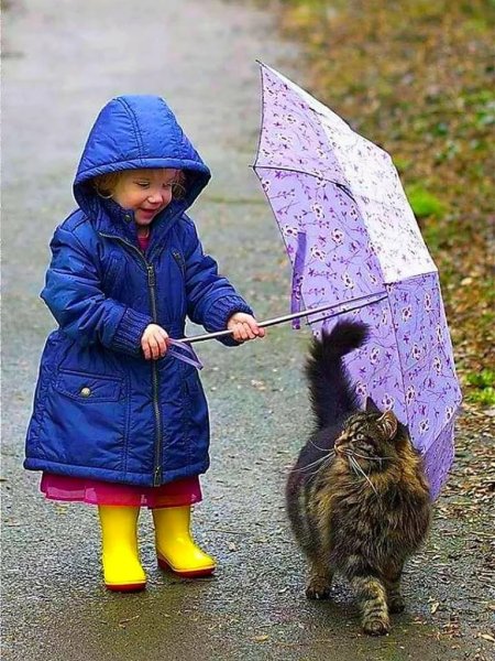 Кот для детей